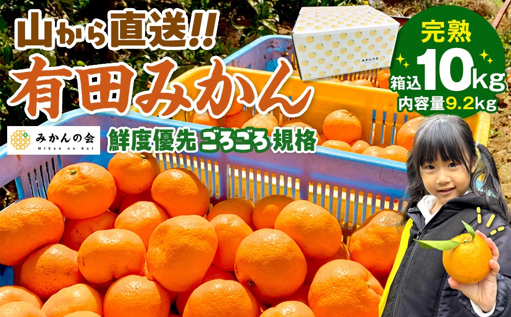 みかん 山から直送 箱込 10kg ( 内容量約 9.2kg ) 鮮度優先ごろごろ規格 和歌山県産 産地直送 家庭用［2025年11月中旬より2026年1月中旬頃順次出荷予定］［みかんの会］ 	AX217