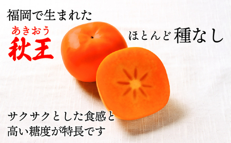 【2026年10～11月発送】秋のフルーツの王様・ブランド柿「秋王」化粧箱　約1.75kg[H2274]