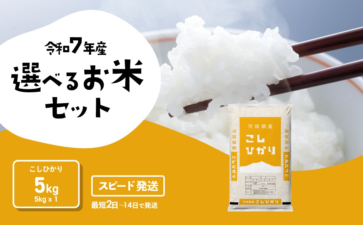 
                  【スピード発送】こしひかり 5kg 令和7年産 精米 白米 茨城県産 米 お米 すぐ届く すぐ発送 [RA086yai]
                