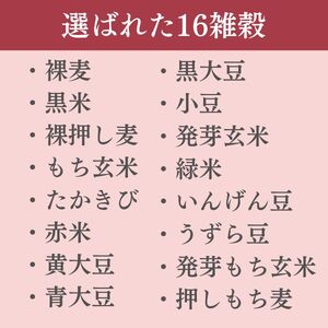 定期便 12ヶ月 ご飯パック 金賞 健康米 十六雑穀米 120g×12個入り 御飯 ごはん パック ご飯 パックライス