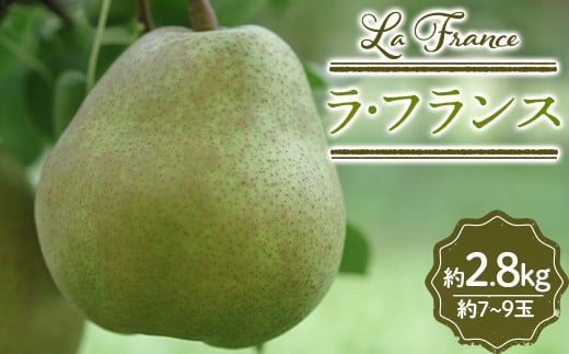 山形県産 ラ・フランス 約2.8kg 7～9玉 FSY-0843