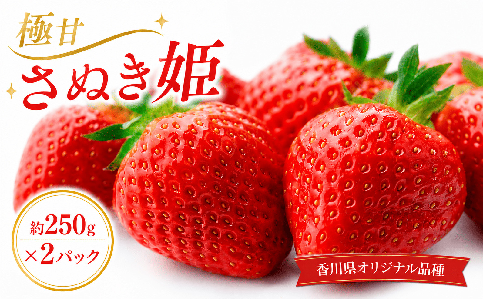 いちご 極甘 さぬき姫 約250g×2パック 2月から順次発送 苺 イチゴ 国産いちご 甘い 完熟 新鮮 朝採れ 旬 厳選 フルーツ 果物 人気 家庭用 高品質 ギフト おすすめ 香川県 丸亀市