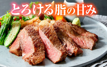 くまもと黒毛和牛 黒樺牛 A4～A5等級 肉厚サーロインステーキ 約300g（約300g×1枚）【株式会社杉本本店】[AYBJ016]