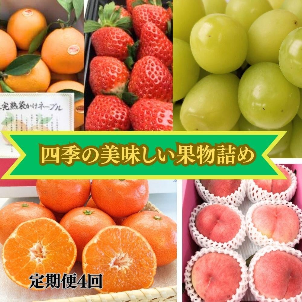 
【定期便　4回コース】四季の美味しい果物詰め
