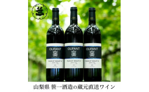 
【蔵元直送】笹一酒造のOLIFANT(オリファン)ワイン＜赤＞3本セット
