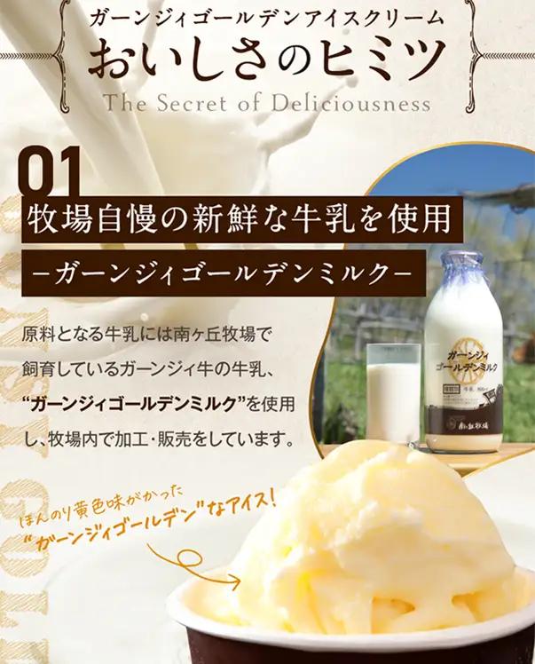 南ヶ丘牧場 アイスクリーム12個セット スイーツ アイス 高級アイス 詰め合わせ 乳牛 冷凍 那須町〔P-132〕