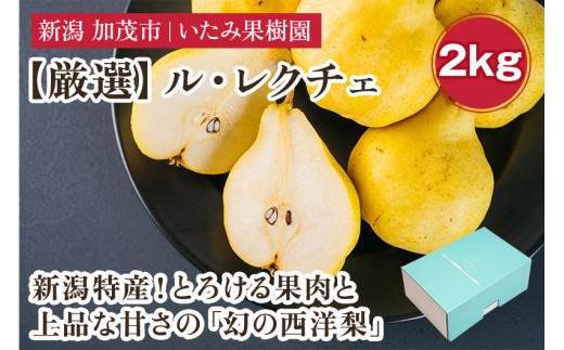 【2026年先行予約】新潟特産 幻の洋梨ル・レクチェ 厳選プレミアム 約2kg （5～7玉）《11月下旬～順次出荷》 令和5年新潟県ル・レクチェ果実品評会「県知事賞」  果物 フルーツギフト 贈答 冬の味覚 産地直送 加茂市 いたみ果樹園