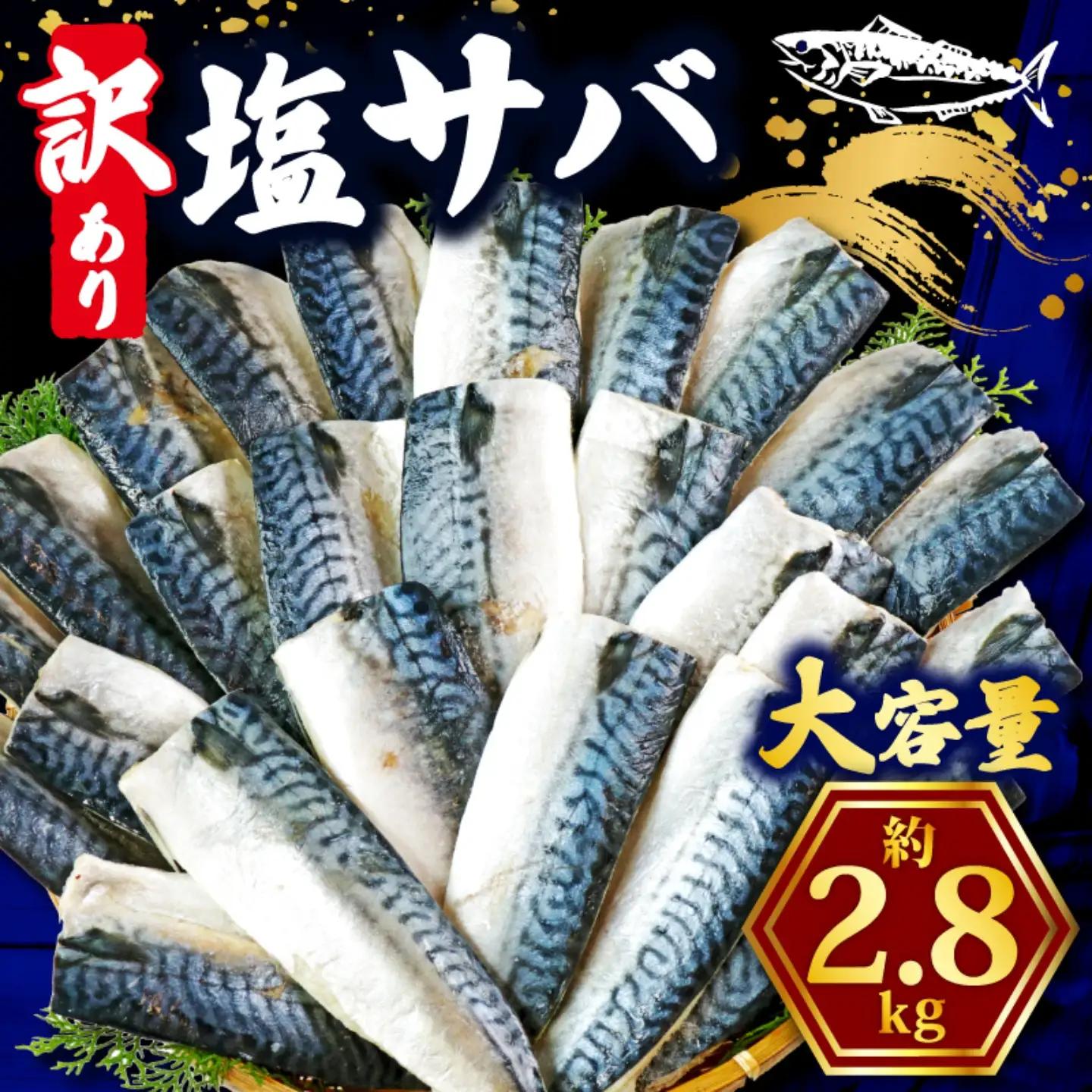  訳あり 塩鯖 2.8kg 鯖
