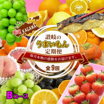 ふるさと納税 坂出市 【発送月固定定期便】創業100年坂出産のフルーツとさぬきの特産品の定期便【Bコース9回】全9回