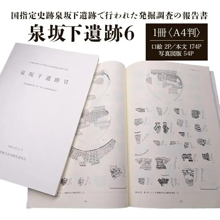 考古学 泉坂下遺跡6 1冊 弥生時代 報告書 【考古学】【ho1314】