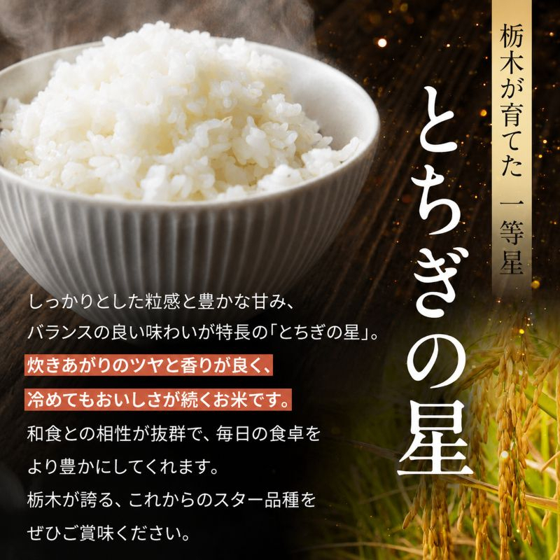 【令和8年産 新米】 【定期便12回】栃木県産 お米 とちぎの星　（無洗米） 20kg 【2026年秋以降発送】 |  栃木県 矢板市 【栃木県共通返礼品 真岡市産】 【定期便12回】無洗米 20kg