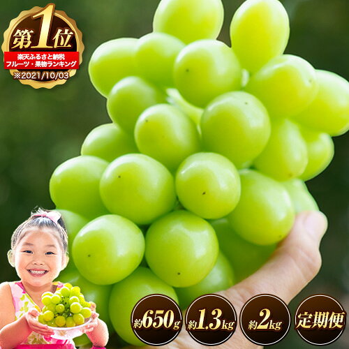 岡山県産 シャインマスカット 約1.2kg 2房 葡萄 果物 訳あり 優品 スイーツ フルーツ デザート 岡山県矢掛町《3-10営業日以内に出荷(土日祝除く)》