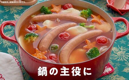 定期便【3ケ月連続お届け】シャウエッセン　スペシャルロングセット