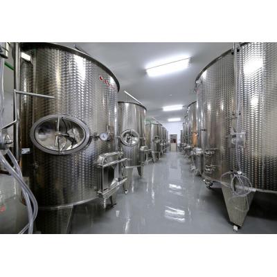 ふるさと納税 東御市 東御市産定番ワイン 赤・白2種セット(アルカンヴィーニュ) |  | 02