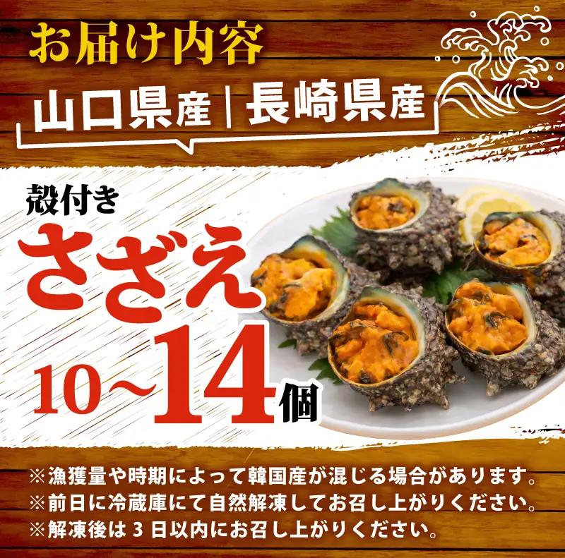 冷凍 お造り サザエ うに味噌和え 10～14個 冷凍 下関 山口 《さわ水産：SW》 SW-SZ006