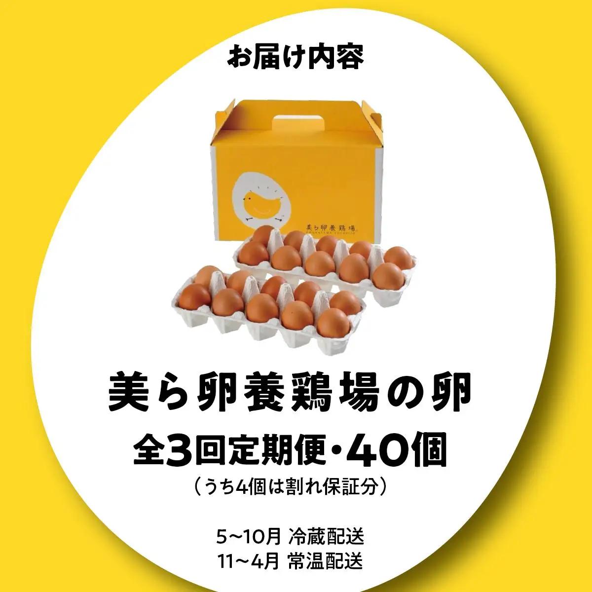 美ら卵養鶏場の卵 40個【3ヶ月定期便】   