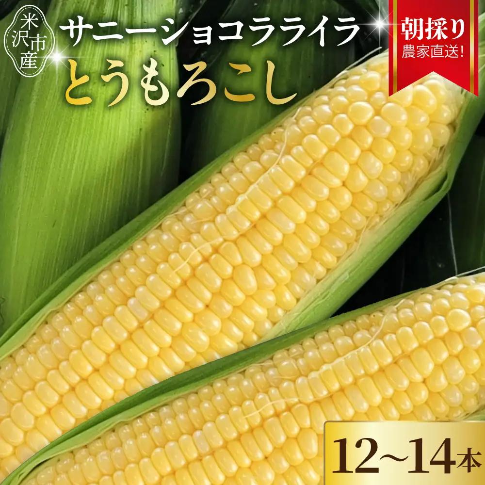 【先行予約】 令和8年産 とうもろこし 12本 ～ 14本 ×1箱 サニーショコラ ライラ 2026年7月中旬～8月中旬頃お届け予定