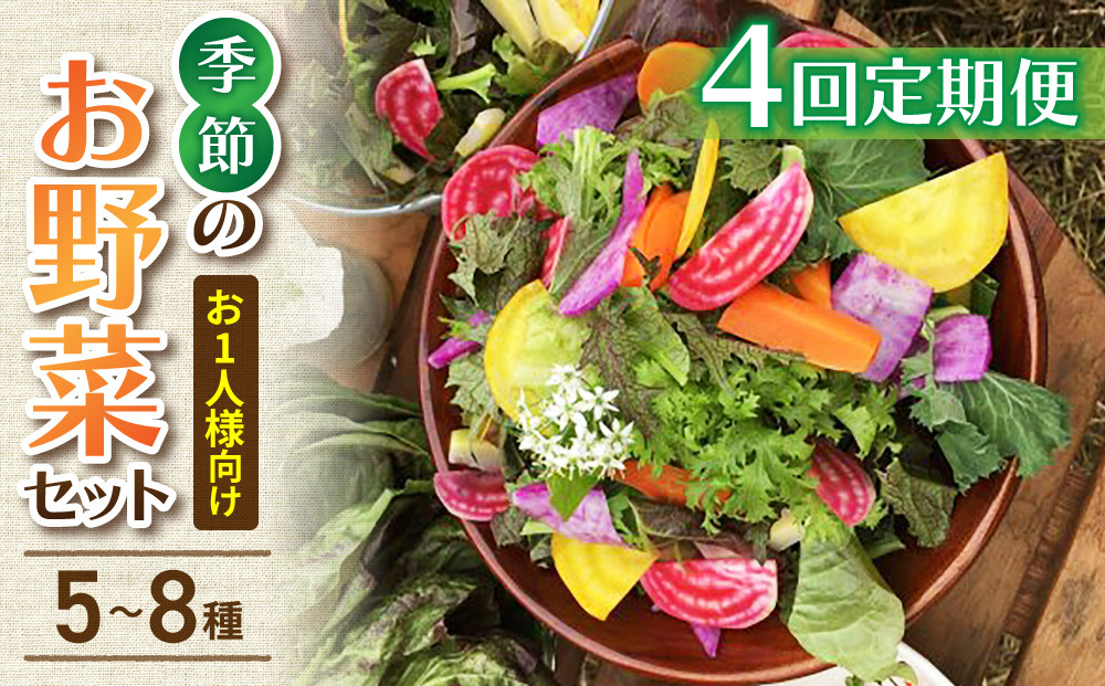 
            【4回定期便】お試し季節のお野菜セット（お一人様向け）｜アグロノーム※2026年1月以降発送
          