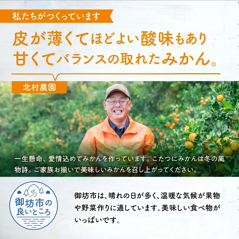 【1169-2】和歌山の農園直送北村農園の天田みかん7.5kg（家庭用）