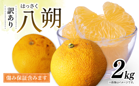 訳あり 八朔 約2kg はっさく 