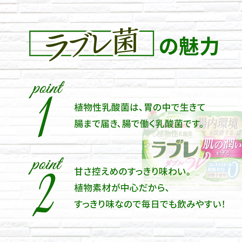 【2ヶ月に1回　計3回定期便】植物性乳酸菌ラブレW　プレーン36本（計108本）