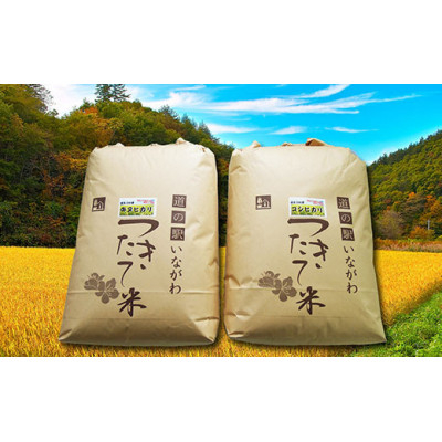 
                  ＜お米食べ比べセット(玄米)＞猪名川町産キヌヒカリ・コシヒカリ(各10kg)【1432252】
                