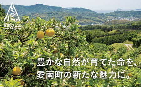 【ジビエ】鹿 ミンチ肉 1kg 鹿肉 ジビエ 愛南ジビエ
