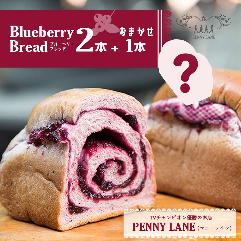【ふるさと納税】ペニーレインのブルーベリーブレッド2 本＋ おまかせ 1本セット 定期便あり | 茨城県 つくば市 パン パン屋 定期便 ブルーベリー 冷凍パン お取り寄せ 人気 おすすめ ベーカリー プレゼント 冷凍 冷凍便