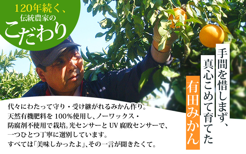 【2027年1月発送予約分】＼光センサー選別／ 農家直送 こだわりの 完熟 有田みかん 約10kg＋150g(傷み補償分) 【ご家庭用】【1月発送】 有機質肥料100% 有田みかん みかん ミカン 蜜