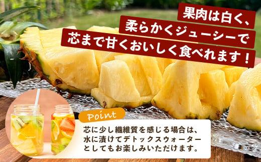 ＜期間限定 春フェア＞《2026年4月以降順次発送》お試し用 ピーチパイン 2玉 (約1.3kg) | 石垣島産 パイナップル 沖縄 石垣島 石垣 八重山 パイン ピーチパイン 数量限定 沖縄県 期間