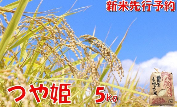 
                  【令和８年産米 先行予約】つや姫5kg　佐藤
                
