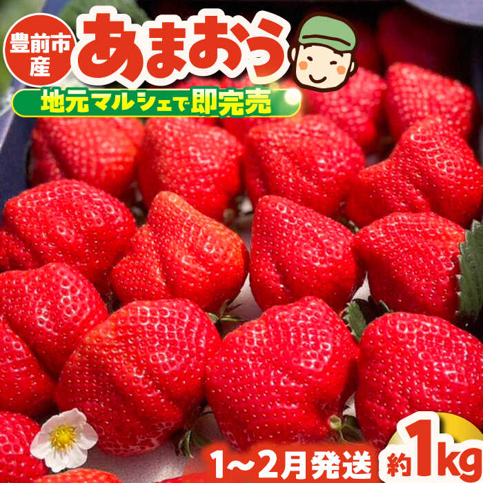 【ふるさと納税】【先行予約】津田くん農園のあまおう 1kg 【2026年1月5日～2月末発送】《豊前市》【株式会社くしだ企画】苺 いちご あまおう[VDG001]
