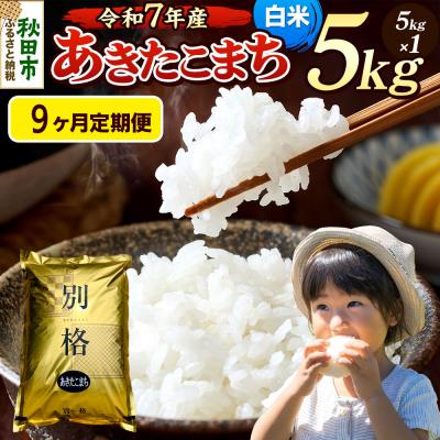 ふるさと納税 秋田市 《令和7年産》定期便9ヶ月 あきたこまち 5kg 白米|15_mge-010509h