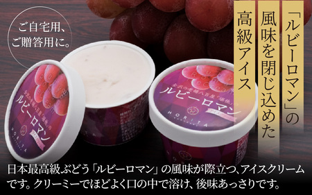 ルビーロマン アイスクリームセット 5個 |  アイス