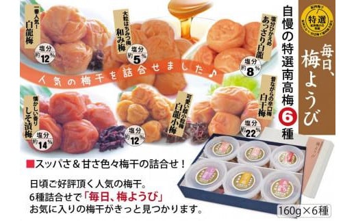 自家梅園産　完熟南高梅詰合せ「毎日梅ようび」　yokosho007