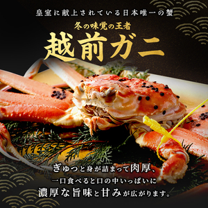 かに 訳あり 茹で 1kg以上 2～3杯 ボイル 魚介 越前 かに