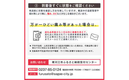 《訳あり》ご家庭用 ふじりんご 5kg 山形県産 2025年産 令和7年産 【2025年12月頃より順次発送予定】（フードロス対応・食品ロス・規格外・SDGs・生産者支援）　010-B-NG009