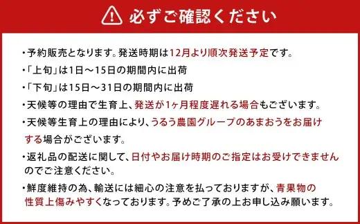 【アフター保証】贈答用 あまおう 約400g【2026年12月上旬～2027年1月下旬発送予定】 いちご イチゴ 苺 化粧箱入り