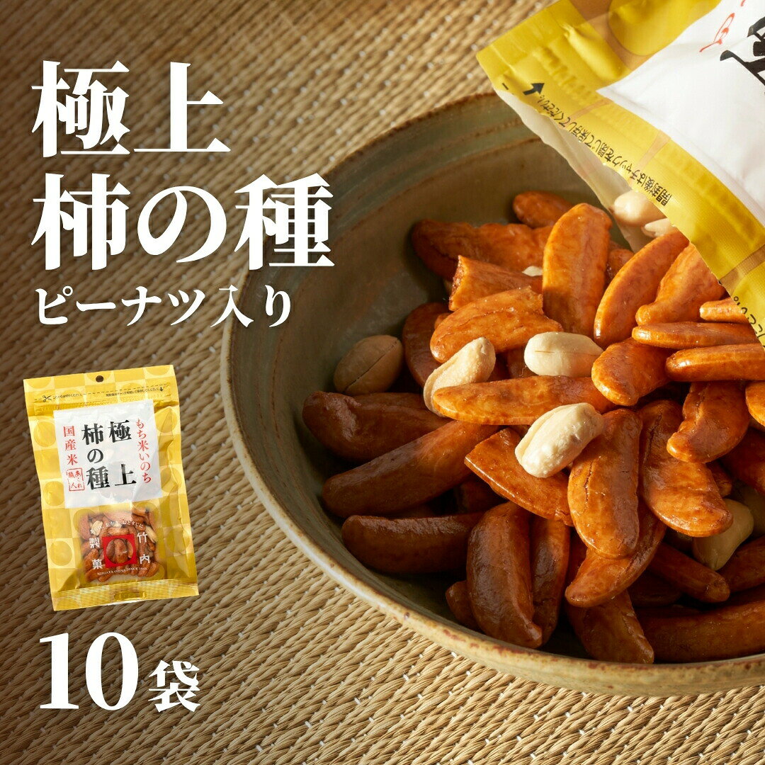 【ふるさと納税】極上柿の種 ピーナッツ入り 110g×10袋セット 竹内製菓 皐月堂 柿の種 かきのたね 国産もち米 米菓 おつまみ おやつ ギフト 差し入れ 新潟県 小千谷市