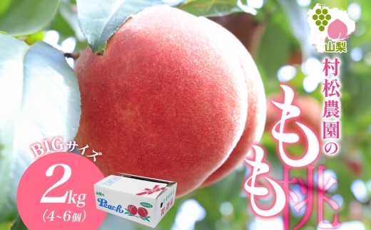 山梨県 笛吹市産 桃 2kg 177-5-001