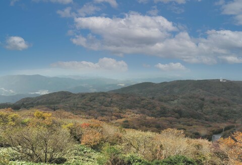 脊振ジビエ イノシシ肉(ロース バラ 角切り ミンチ)4品詰合せ(小) 【佐賀 佐賀県産 猪 ロース バラ 焼肉 しゃぶしゃぶ 鍋物】(H072186)