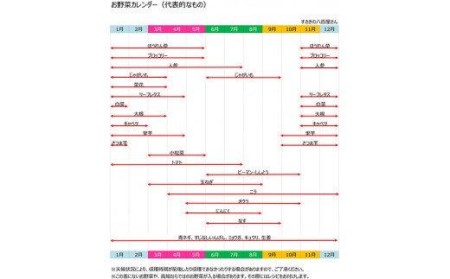野菜 8～10品目程度 セット 詰め合わせ 季節 新鮮 産地直送 高知県 須崎市