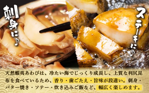 【北海道】天売島産 天然蝦夷あわび 大サイズ 3個入×1パック (1個 約100g〜140g)