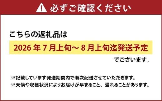 白桃 6玉（1.5kg以上） 等級：ロイヤル 化粧箱入り 【2026年7月上旬～8月上旬迄発送予定】 桃 モモ もも 果物 くだもの フルーツ 冷蔵 国産
