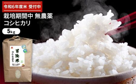 コシヒカリ 令和6年産 5kg お米 精米 コシヒカリ 白米