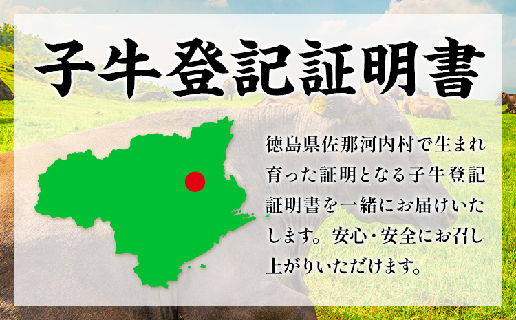 大川原高原牛 赤身モモスライス 500g 肉の藤原《30日以内に出荷予定(土日祝除く)》和牛 希少 大川原高原 牛肉 赤身 もも肉 贅沢 あっさり 鍋 炒め物 すき焼き ギフト 贈答 プレゼント お祝