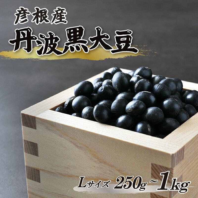 【ふるさと納税】 ＼予約受付／令和8年産 彦根産 丹波黒大豆 丹波黒 選べる 250g 500g 1kg Lサイズ 中粒 黒豆 くろまめ 丹波 黒大豆 正月 おせち 煮豆 黒豆煮 滋賀 彦根