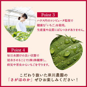 さがほのか 880g (220g×4p)