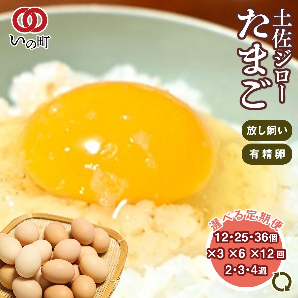 【ふるさと納税】【選べる定期便】土佐ジロー濃厚たまご(12個・25個・36個)(3回・6回・12回)(2週間・3週間・4週間おき)鶏卵 卵 玉子 送料無料 土佐地鶏とロードアイランドレッドを交配 放し飼い 平飼い 緑餌 濃厚 コク 有精卵