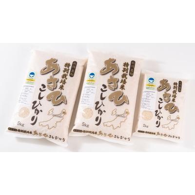 ふるさと納税 村上市 【令和7年産米】新潟県村上市産 特別栽培米コシヒカリ12kg  B4029
